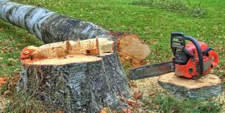 Best Firewood Processing and Delivery  in West End, NY