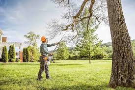 Best Aeration Services  in West End, NY