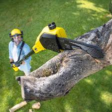 Best Tree Trimming and Pruning  in West End, NY