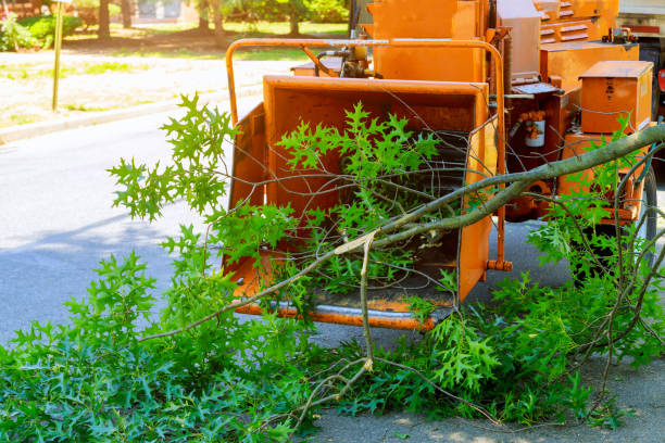 Best Lawn Watering Services  in West End, NY